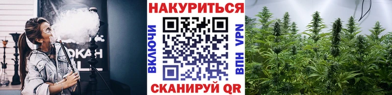Шишки марихуана MAZAR  купить  сайты  Нижнеудинск 