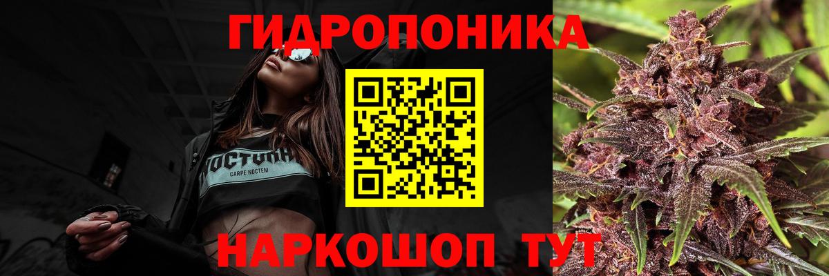 Марихуана семена  Конопля сатива  Вход с VPN  Нижнеудинск  Конопля семена 